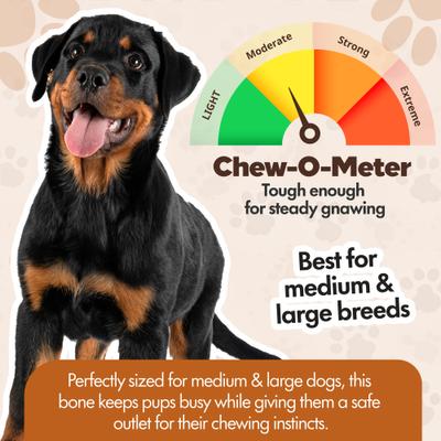 Show full view: The Treat Shack Knotted 8 to 9-in Natural Flavor Rawhide Bone Dog Treats, 3 count slide 5 of 8