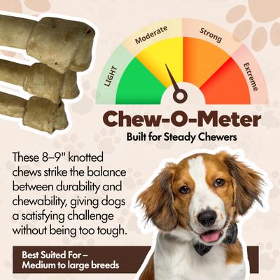 Show full view: The Treat Shack Knotted 8 to 9-in Chicken Flavor Rawhide Bone Dog Treats, 10 count slide 5 of 8
