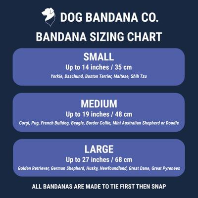 Show full view: Dog Bandana Co. Skeleton Dog Bandana, Black, Small slide 4 of 5