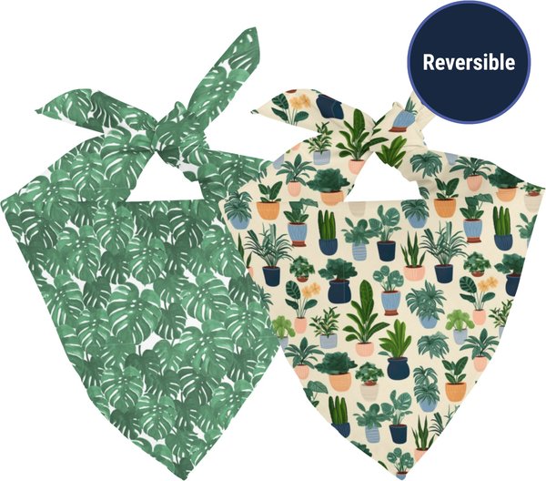 Show full view: Dog Bandana Co. House Plant Dog Bandana, Small slide 3 of 5
