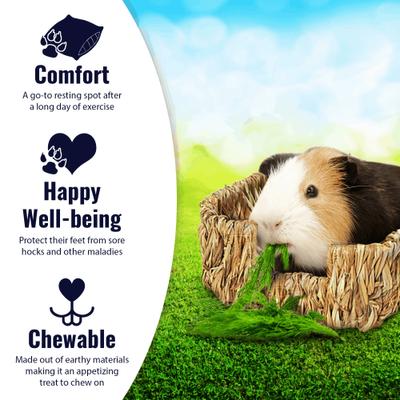 Show full view: Vila Handmade Portable Woven Grass Rabbit Bed slide 3 of 8