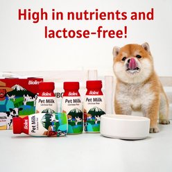 Bioline Lactose-Free Liquid Milk Supplement for Dogs & Cats, 7.4-fl oz bottle slide 2 of 6