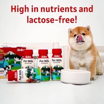 Show full view: Bioline Lactose-Free Liquid Milk Supplement for Dogs & Cats, 7.4-fl oz bottle, 6 count slide 3 of 7