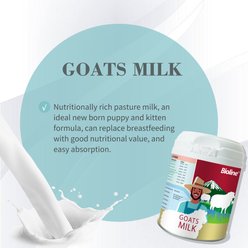 Bioline Goat Milk Powder Supplement for Dogs & Cats, 7.1-oz jar slide 2 of 6