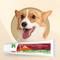 Show in main carousel: Bioline Integrated Nutrition Chicken Flavored Gel Weight Management Supplement for Dogs, 3.5-oz tube slide 3 of 9