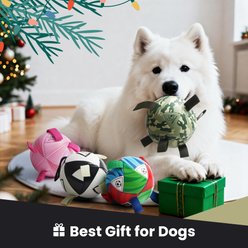 Nocciola Magic Pup Soccer Interactive Durable Tug & Fetch Squeaky Ball Dog Toy, Classic Black & White, Medium: 6-in slide 2 of 6