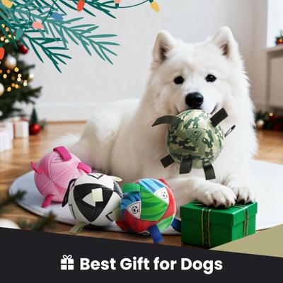 Show full view: Nocciola Magic Pup Soccer Interactive Durable Tug & Fetch Squeaky Ball Dog Toy, Classic Black & White, Medium: 6-in slide 6 of 6