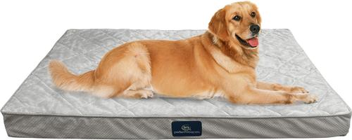 Show full view: Serta Quilted Orthopedic Pillowtop Bolster Dog Bed with Removable Cover, X-Large, Gray slide 6 of 7