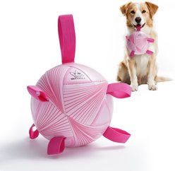 Nocciola Modern Princess Pink Soccer Interactive Durable Tug & Fetch Squeaky Ball Dog Toy, Neon Pink Striker, Large: 8-in