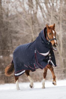 Show full view: LeMieux Kudos 350g Horse Turnout Blanket, Navy, 57-in slide 2 of 2