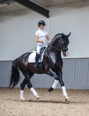 Show full view: LeMieux Cotton Dressage Square Horse Saddle Pad, White, X-Large slide 7 of 7