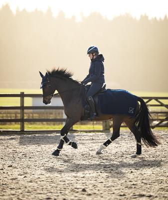 Show full view: LeMieux Clima-Tek Exercise Quarter Sheet Horse Turnout, Navy, Medium slide 4 of 5