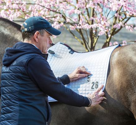 Show full view: LeMieux Cotton Dressage Competition Square Horse Saddle Pad, White, Small/Medium slide 5 of 5