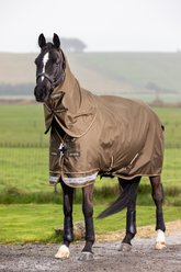 LeMieux Arika Ripstop 50g Horse Turnout Blanket, Alpine, 57-in
