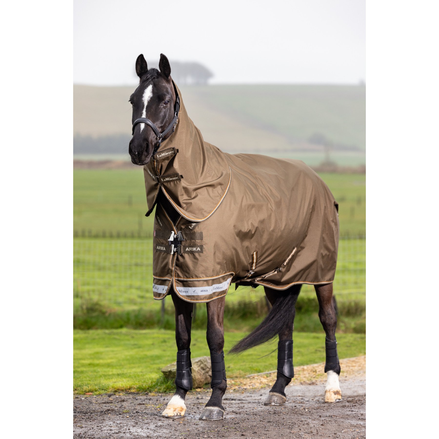 LeMieux Arika Ripstop 50g Horse Turnout Blanket, Alpine, 87-in