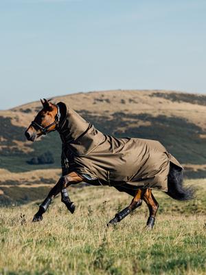 Show full view: LeMieux Arika Ripstop 0g Horse Turnout Blanket, Alpine, 78-in slide 5 of 5