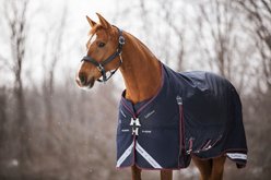 LeMieux Kudos 350g Horse Turnout Blanket, Navy, 87-in