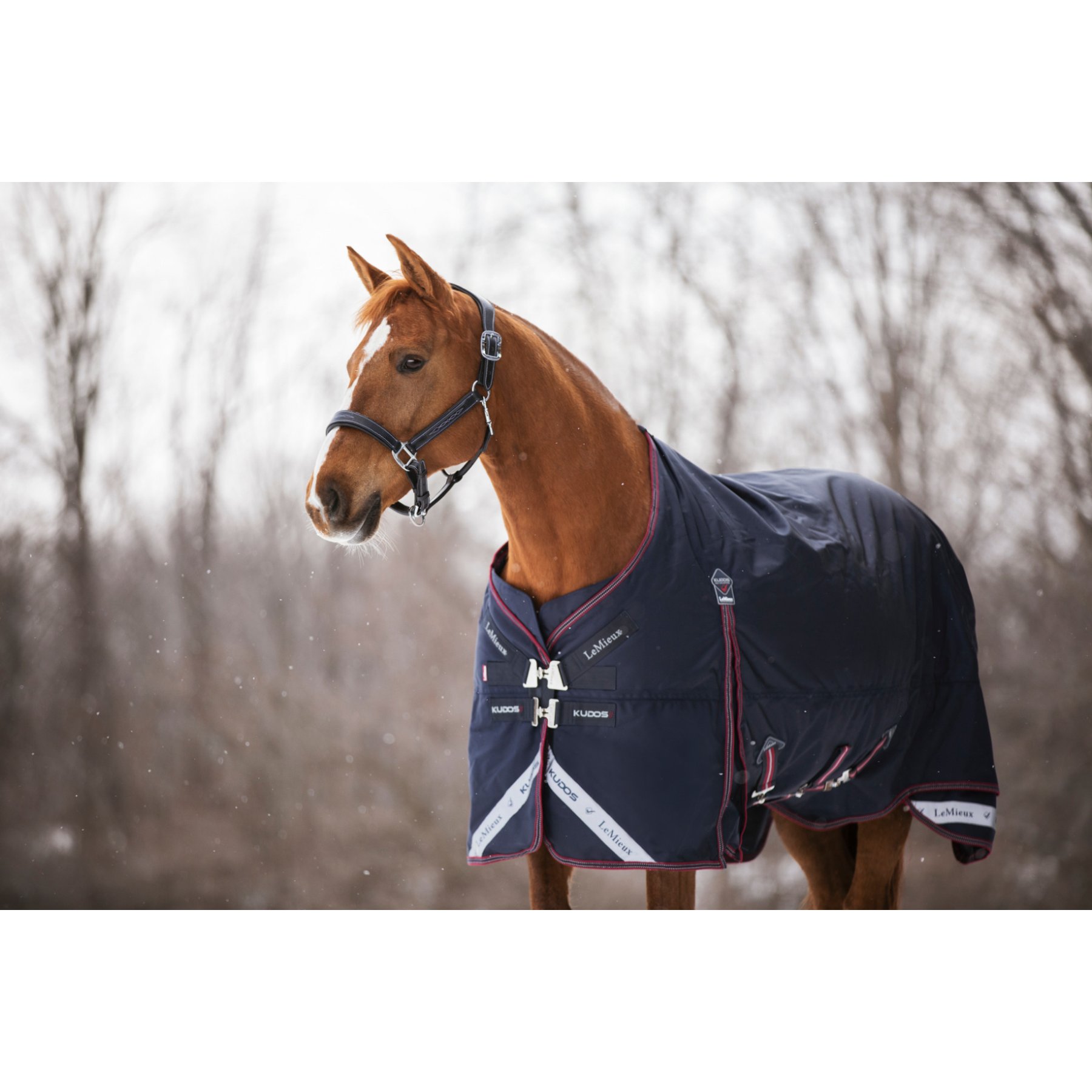 LeMieux Kudos 350g Horse Turnout Blanket, Navy, 57-in