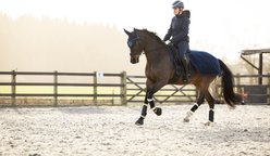 LeMieux Clima-Tek Exercise Quarter Sheet Horse Turnout, Navy, Medium slide 2 of 5