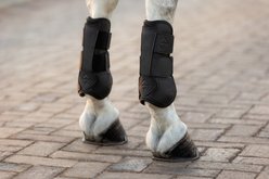 LeMieux Capella Tendon Horse Boots, Black, Size 1, 2 count slide 2 of 9