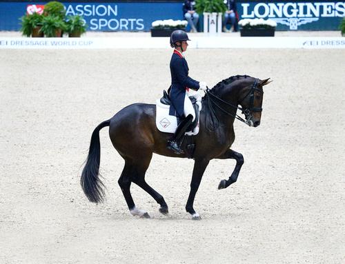 Show full view: LeMieux Cotton Dressage Competition Square Horse Saddle Pad, White, Small/Medium slide 4 of 5