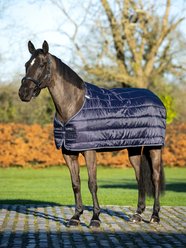 LeMieux 100g Horse Blanket Liner, Navy, 72-in