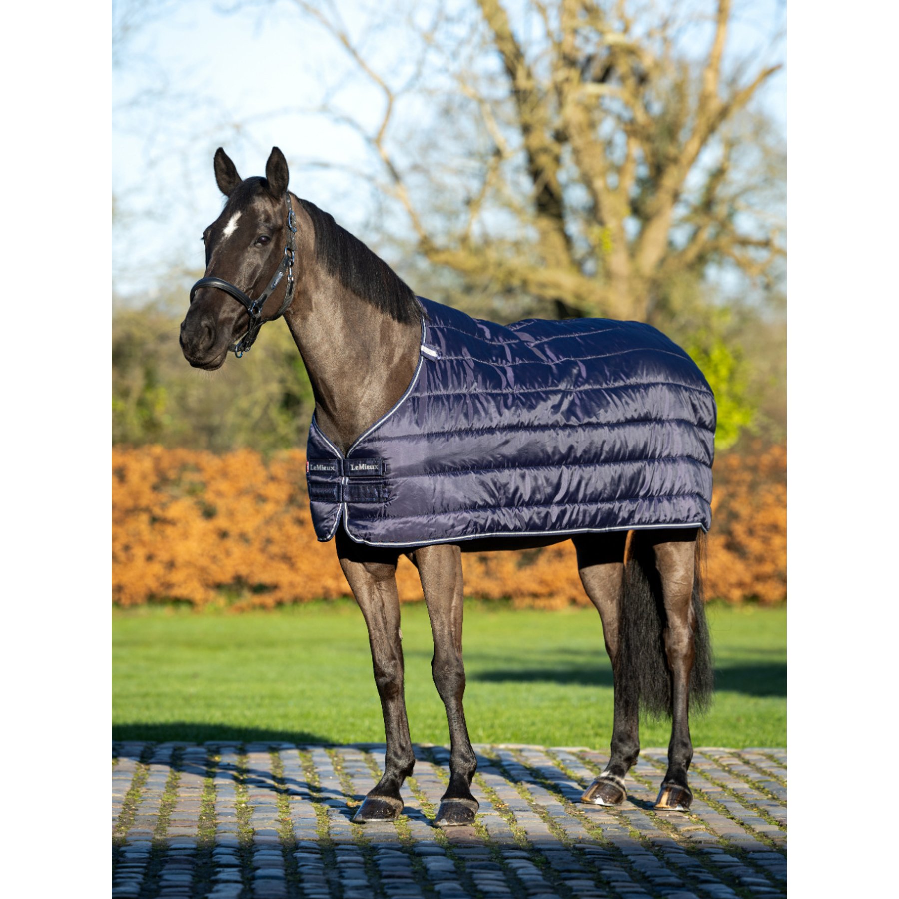 LeMieux 100g Horse Blanket Liner, Navy, 81-in