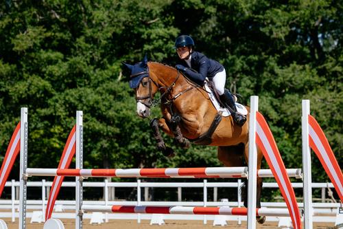 Show full view: LeMieux Cotton Close Contact Competition Square Horse Saddle Pad, White, Large slide 3 of 3