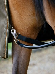 LeMieux Arika Ripstop 50g Horse Turnout Blanket, Alpine, 78-in slide 2 of 6