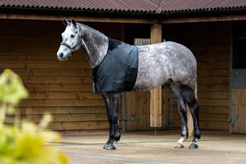 Show full view: LeMieux Anti Rub Bib Horse Turnout, Black, Large slide 5 of 6