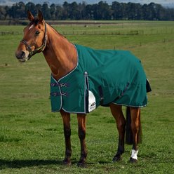 WeatherBeeta ComFiTec Plus Dynamic Standard Neck 220G Horse Turnout, Forest Green/Navy, 75-in slide 1 of 9