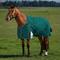 Show in main carousel: WeatherBeeta ComFiTec Plus Dynamic Standard Neck 220G Horse Turnout, Forest Green/Navy, 75-in slide 1 of 9