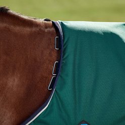 WeatherBeeta ComFiTec Plus Dynamic Standard Neck 220G Horse Turnout, Forest Green/Navy, 81-in slide 2 of 9