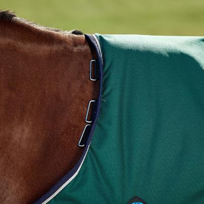 Show full view: WeatherBeeta ComFiTec Plus Dynamic Standard Neck 220G Horse Turnout, Forest Green/Navy, 75-in slide 5 of 9