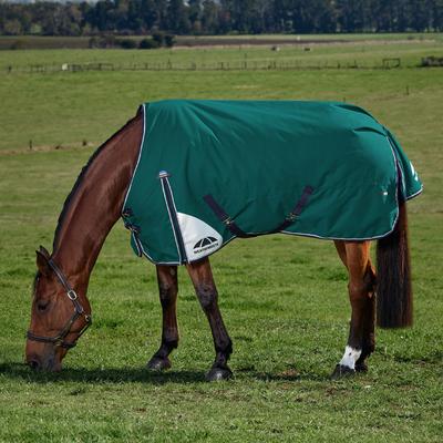 Show full view: WeatherBeeta ComFiTec Plus Dynamic Standard Neck 220G Horse Turnout, Forest Green/Navy, 75-in slide 2 of 9