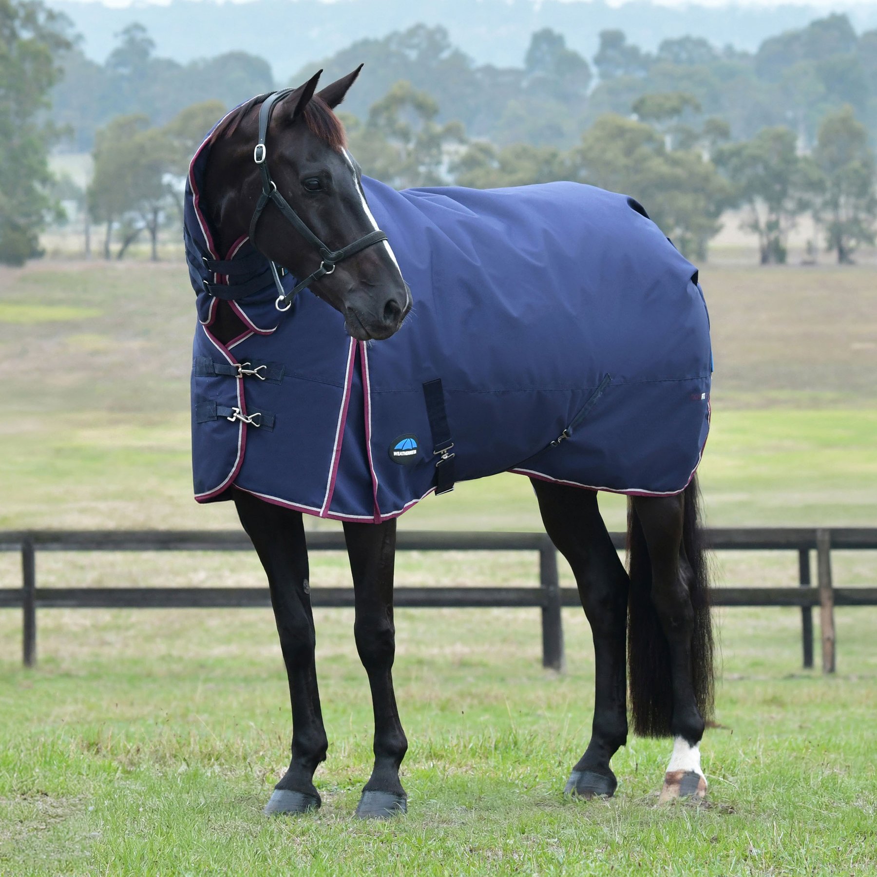 WeatherBeeta ComFiTec Essential Combo Neck 220G Horse Turnout, Navy/Burgundy, 63-in