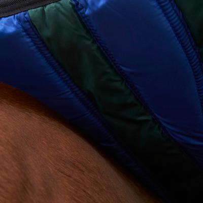 Show full view: WeatherBeeta ComFiTec Plus Dynamic Standard Neck 220G Horse Turnout, Forest Green/Navy, 75-in slide 4 of 9