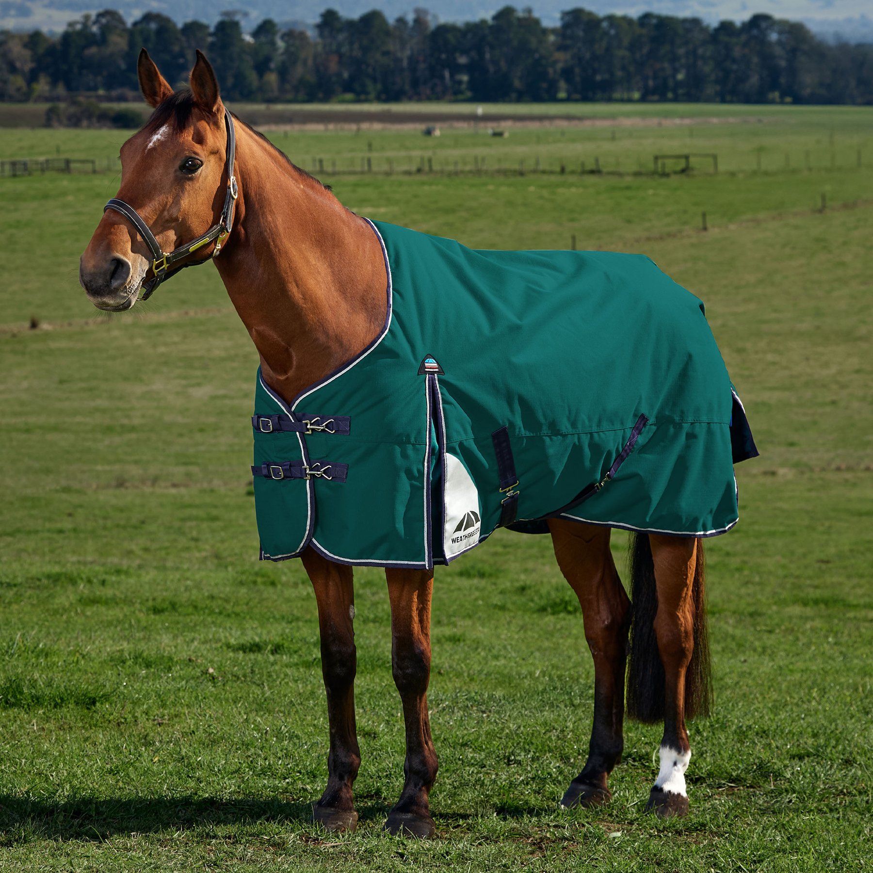 WeatherBeeta ComFiTec Plus Dynamic Standard Neck 100G Horse Turnout, Forest Green/Navy, 66-in