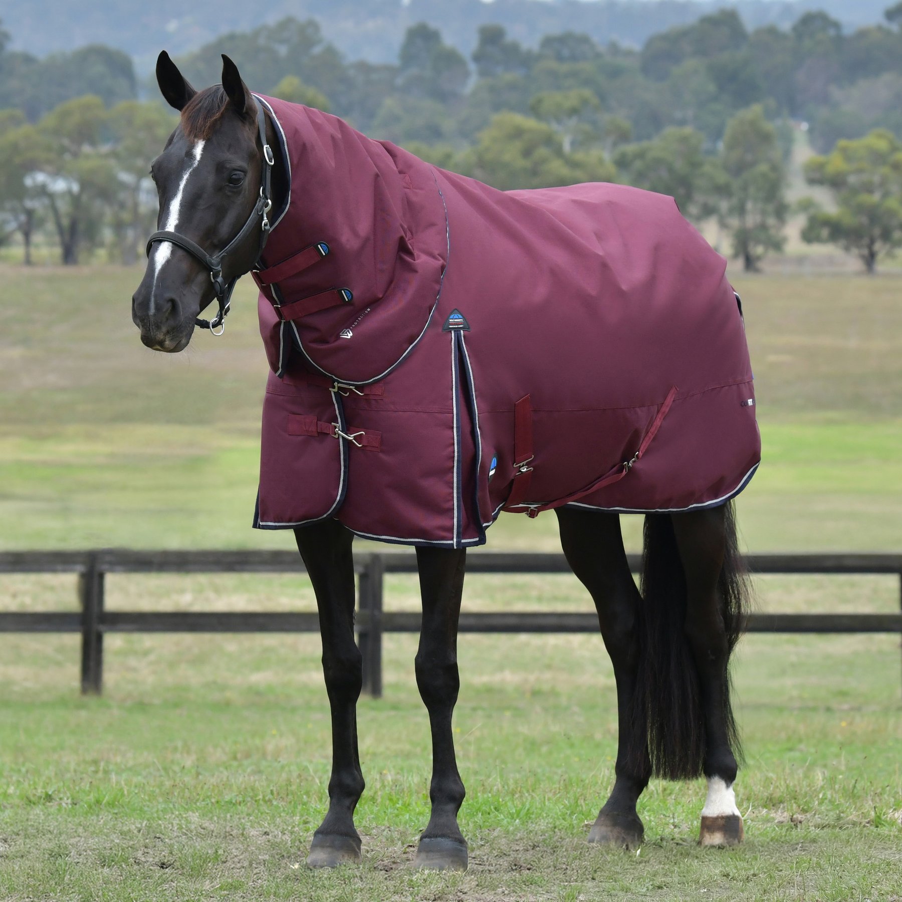 WeatherBeeta ComFiTec Essential Detach-A-Neck 220G Horse Turnout, Burgundy/Navy, 72-in