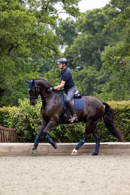 Show full view: LeMieux Suede Dressage Square Horse Saddle Pad, Navy, X-Large slide 2 of 2
