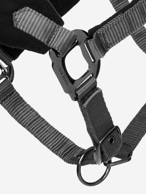 Show full view: LeMieux Vogue Horse Halter & Leadrope, Black, X-Full slide 2 of 9