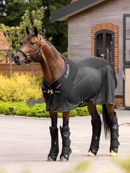 LeMieux Horse Travel Boots, Black, Full