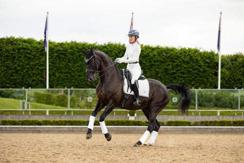 Show full view: LeMieux Loire Dressage Square Horse Saddle Pad, White, Large slide 4 of 4
