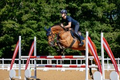 LeMieux Suede Close Contact Square Horse Saddle Pad, Navy, Small/Medium slide 2 of 2