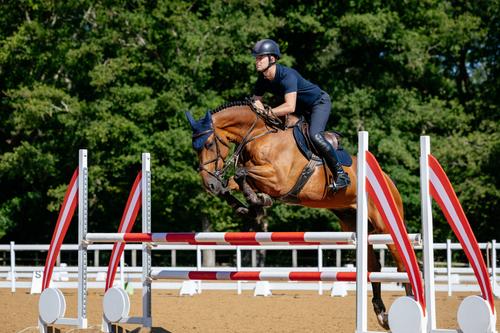 Show full view: LeMieux Suede Close Contact Square Horse Saddle Pad, Navy, Small/Medium slide 2 of 2