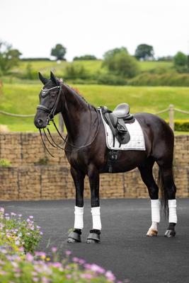 Show full view: LeMieux Loire Dressage Square Horse Saddle Pad, White, Large slide 2 of 4