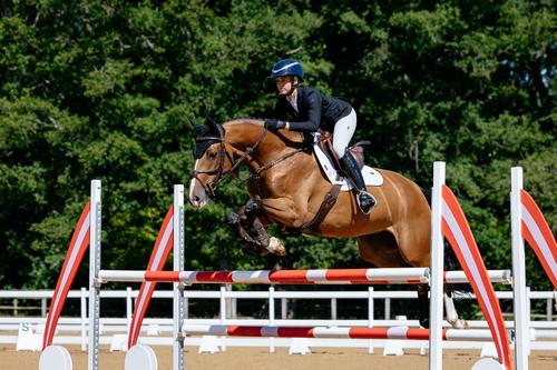 Show full view: LeMieux Loire Classic Close Contact Square Horse Saddle Pad, White, Large slide 2 of 2