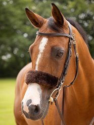 LeMieux Simuwool Horse Noseband Cover, Brown slide 2 of 2