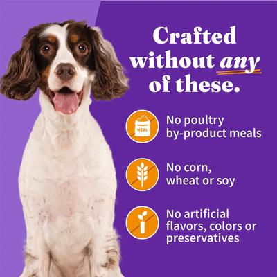 Show full view: Halo Holistic Chicken Recipe in Broth Adult Canned Dog Food, 13.2-oz can, case of 6 slide 5 of 8