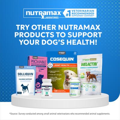 Show full view: Nutramax Cosequin Elements Joint Health Supplement with Glucosamine & MSM Chewable Tablet for Dogs, 75 count slide 8 of 13